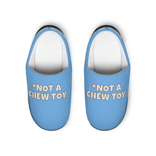 *Not a Chew Toy Slippers